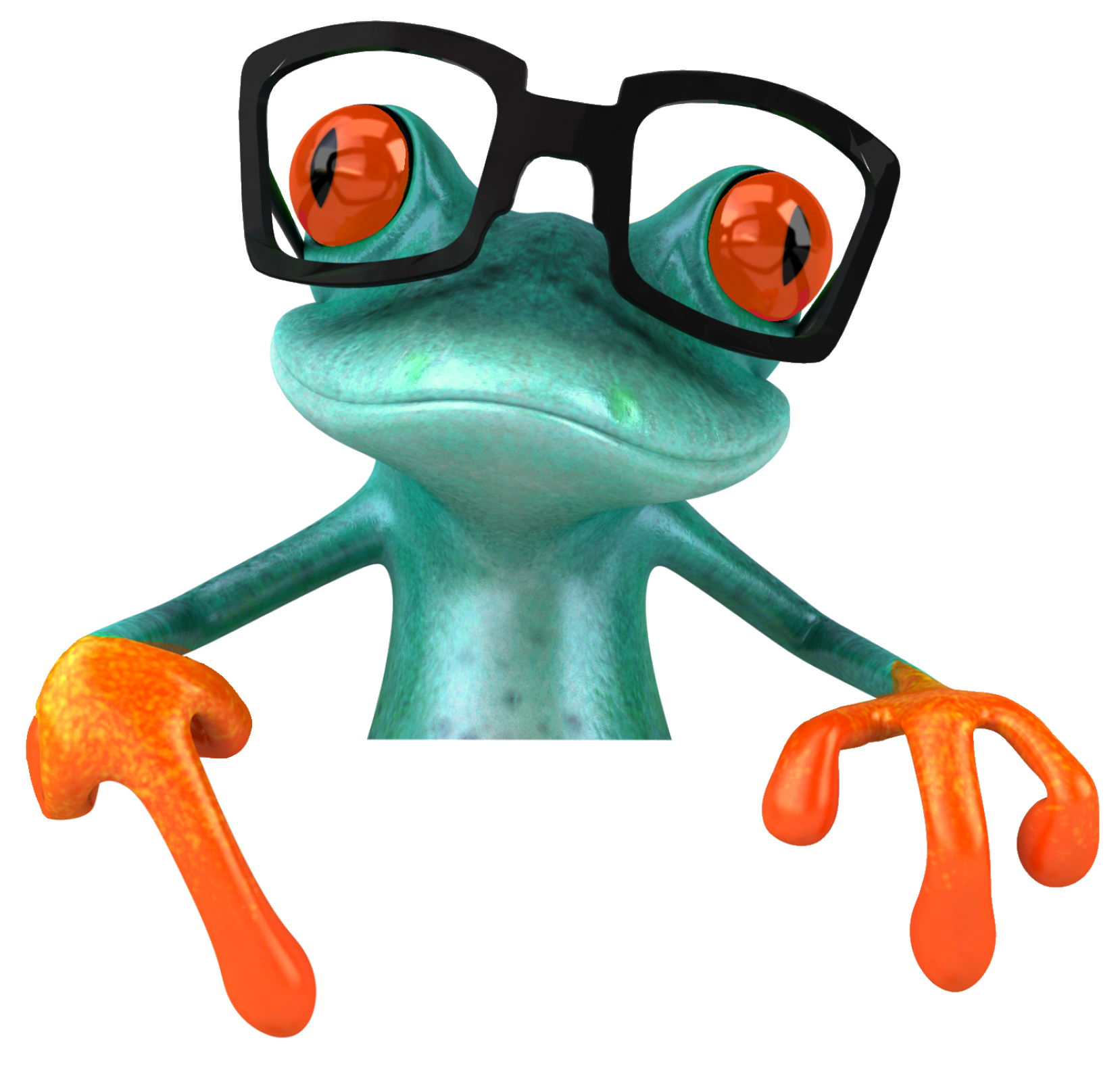 Gonzo Frog Home Glasses